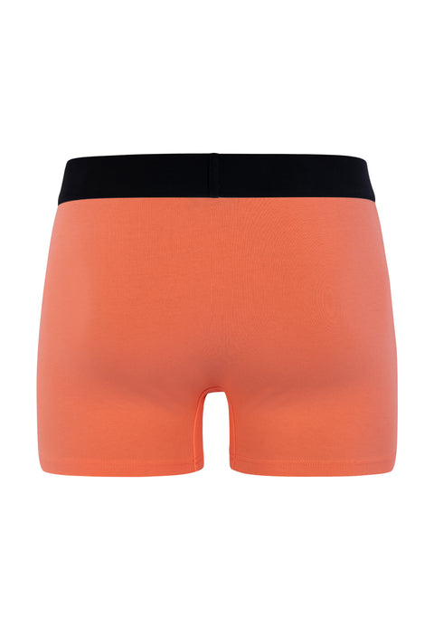 CORAL BASIC TRUNKS